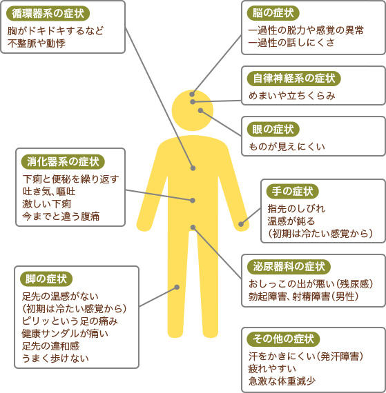 トランスサイレチン型家族性アミロイドポリニューロパチーにみられる症状