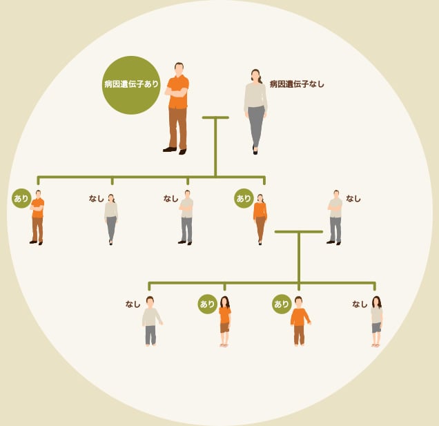 トランスサイレチン型家族性アミロイドポリニューロパチーは遺伝性のため、血縁者も同じ遺伝子を持っている可能性があります。ただし必ず発症するわけではありません。