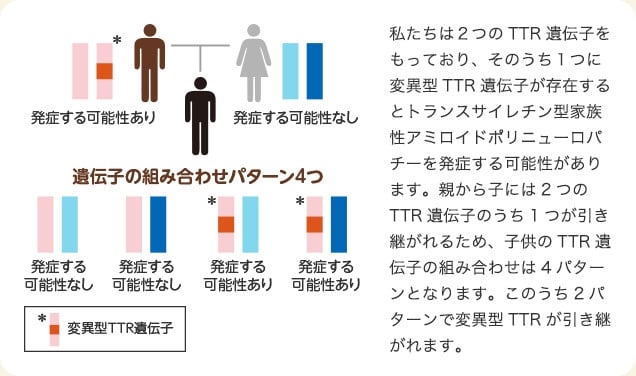 あなたがこの病気を発症する可能性について