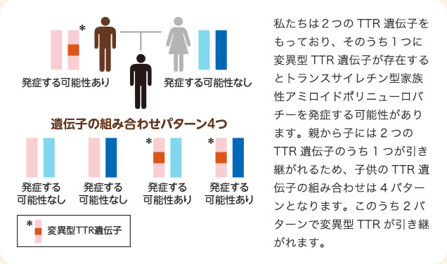 あなたがこの病気を発症する可能性について