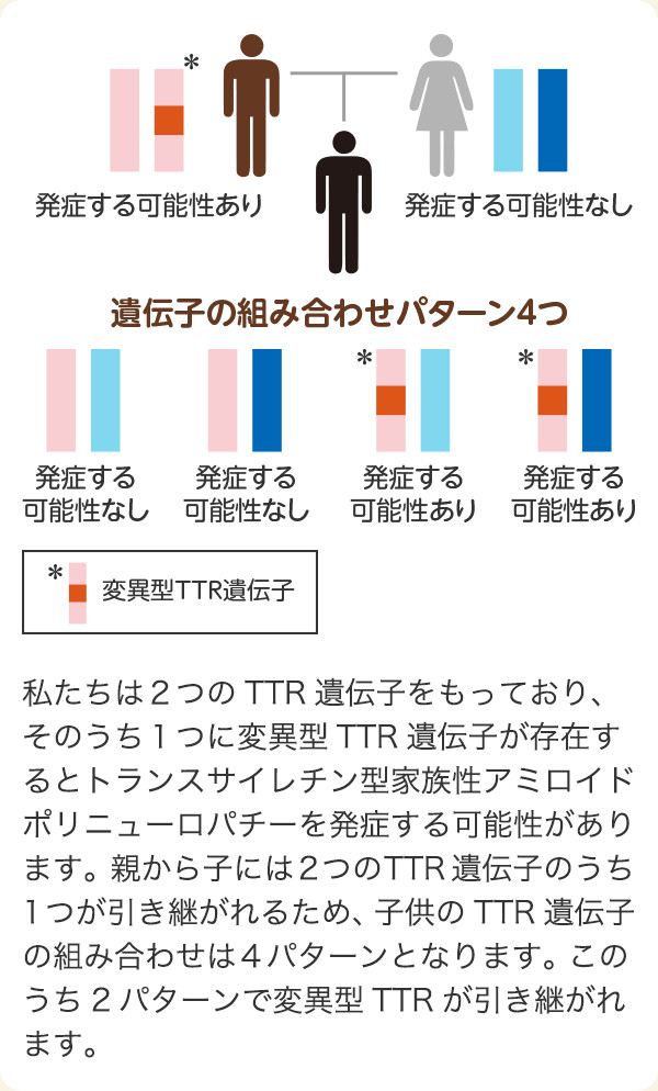 あなたがこの病気を発症する可能性について